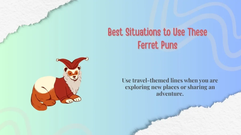 Best Situations to Use These Ferret Puns