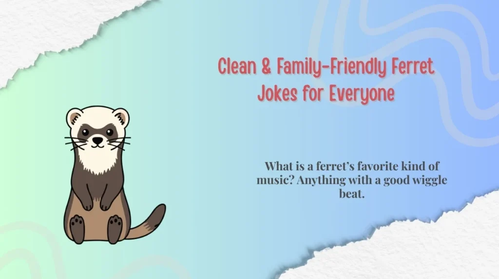 Clean & Family-Friendly Ferret Jokes for Everyone