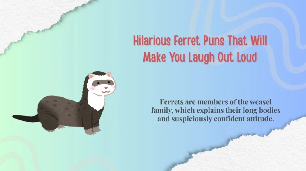 Hilarious Ferret Puns That Will Make You Laugh Out Loud