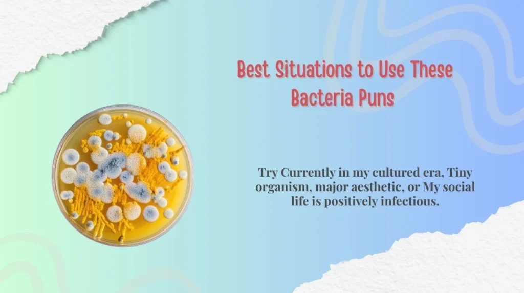 Best Situations to Use These Bacteria Puns