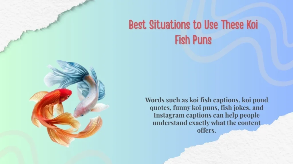 Best Situations to Use These Koi Fish Puns