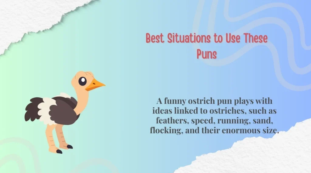 Best Situations to Use These Puns