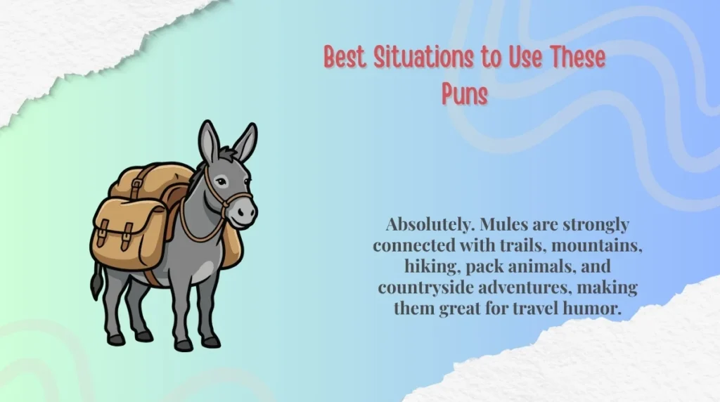 Best Situations to Use These Puns