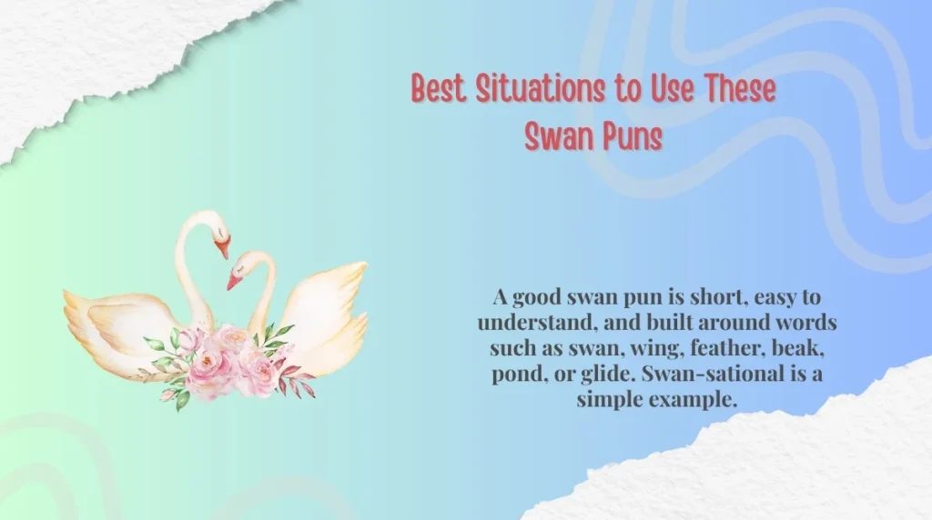 Best Situations to Use These Swan Puns