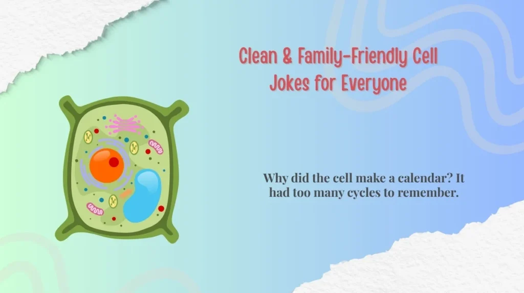 Clean & Family-Friendly Cell Jokes for Everyone