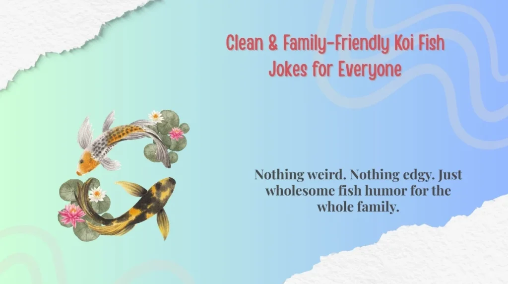 Clean & Family-Friendly Koi Fish Jokes for Everyone