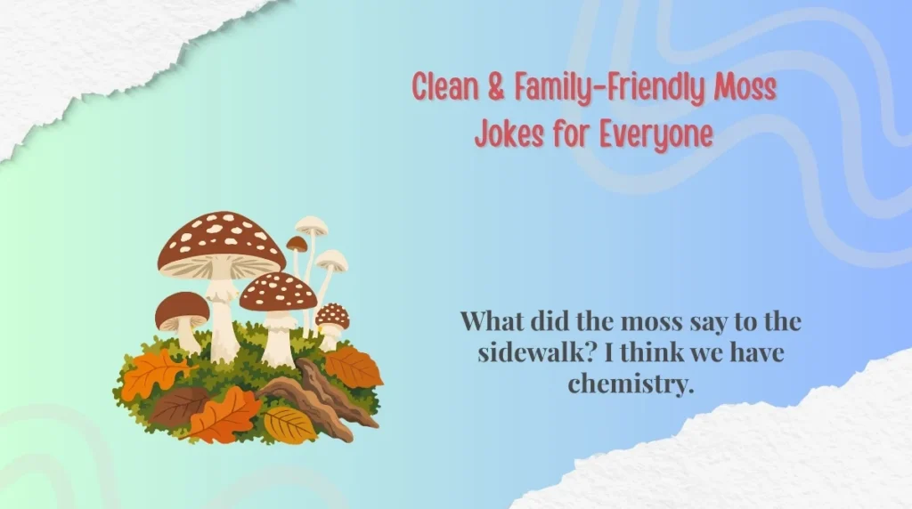 Clean & Family-Friendly Moss Jokes for Everyone