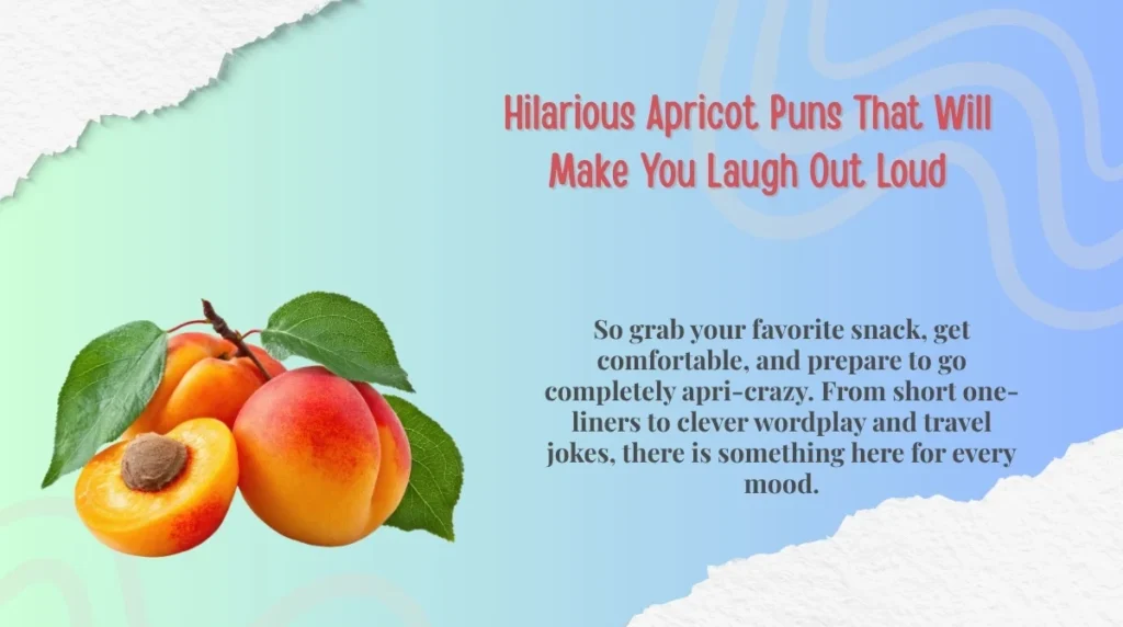 Hilarious Apricot Puns That Will Make You Laugh Out Loud