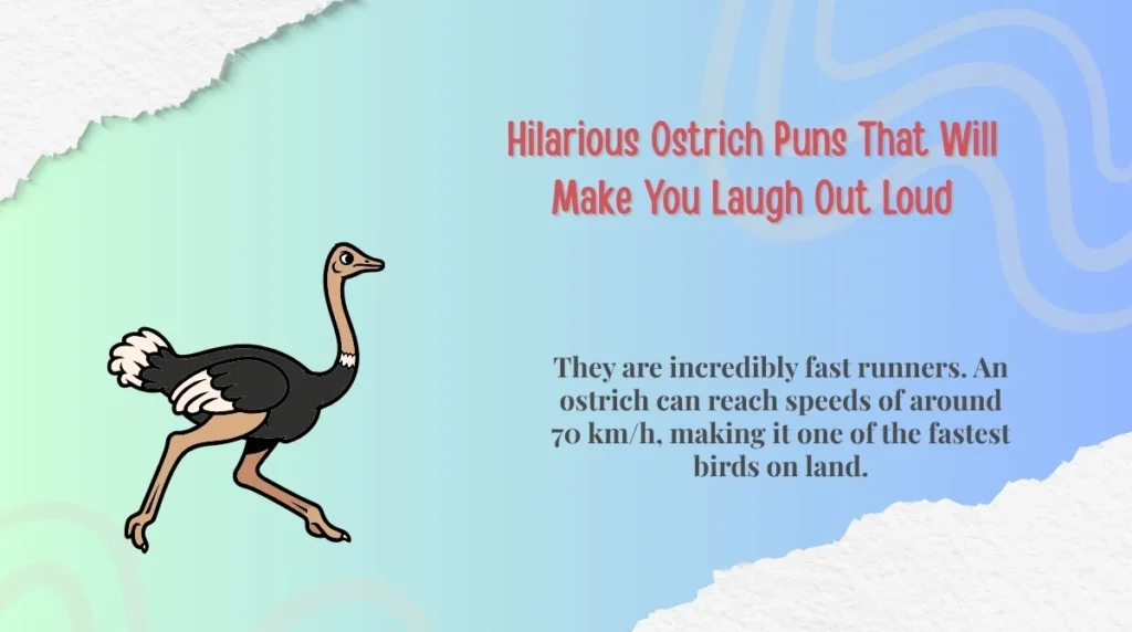 Hilarious Ostrich Puns That Will Make You Laugh Out Loud