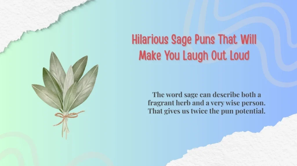 Hilarious Sage Puns That Will Make You Laugh Out Loud