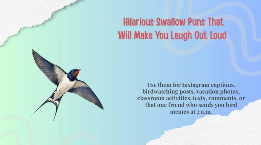 Hilarious Swallow Puns That Will Make You Laugh Out Loud