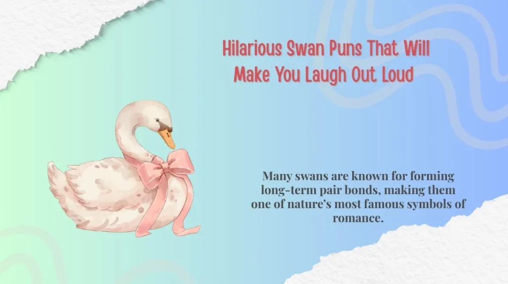 Hilarious Swan Puns That Will Make You Laugh Out Loud