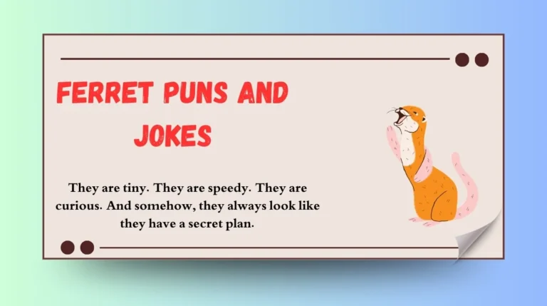 Ferret Puns and Jokes