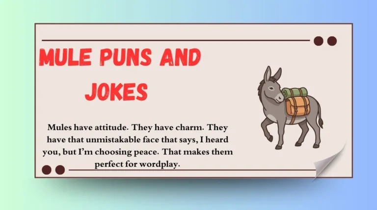 Mule Puns and Jokes
