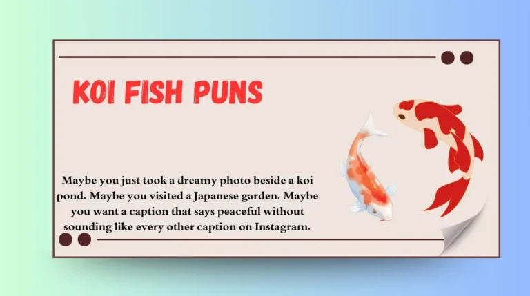 Koi Fish Puns