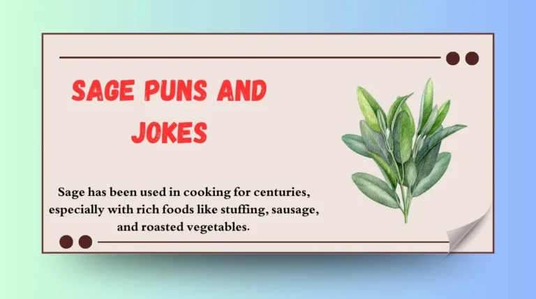 Sage Puns and Jokes