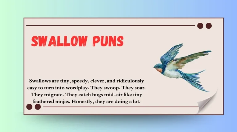 Swallow Puns