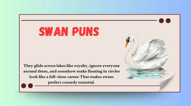 Swan Puns